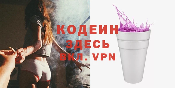 хмурый Няндома