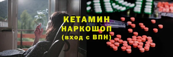хмурый Няндома
