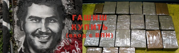 гидра Арсеньев