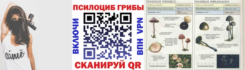 Псилоцибиновые грибы Psilocybine cubensis  Тейково 